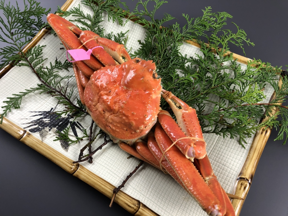 但馬産 松葉がに（茹で・タグ付き）2杯セット