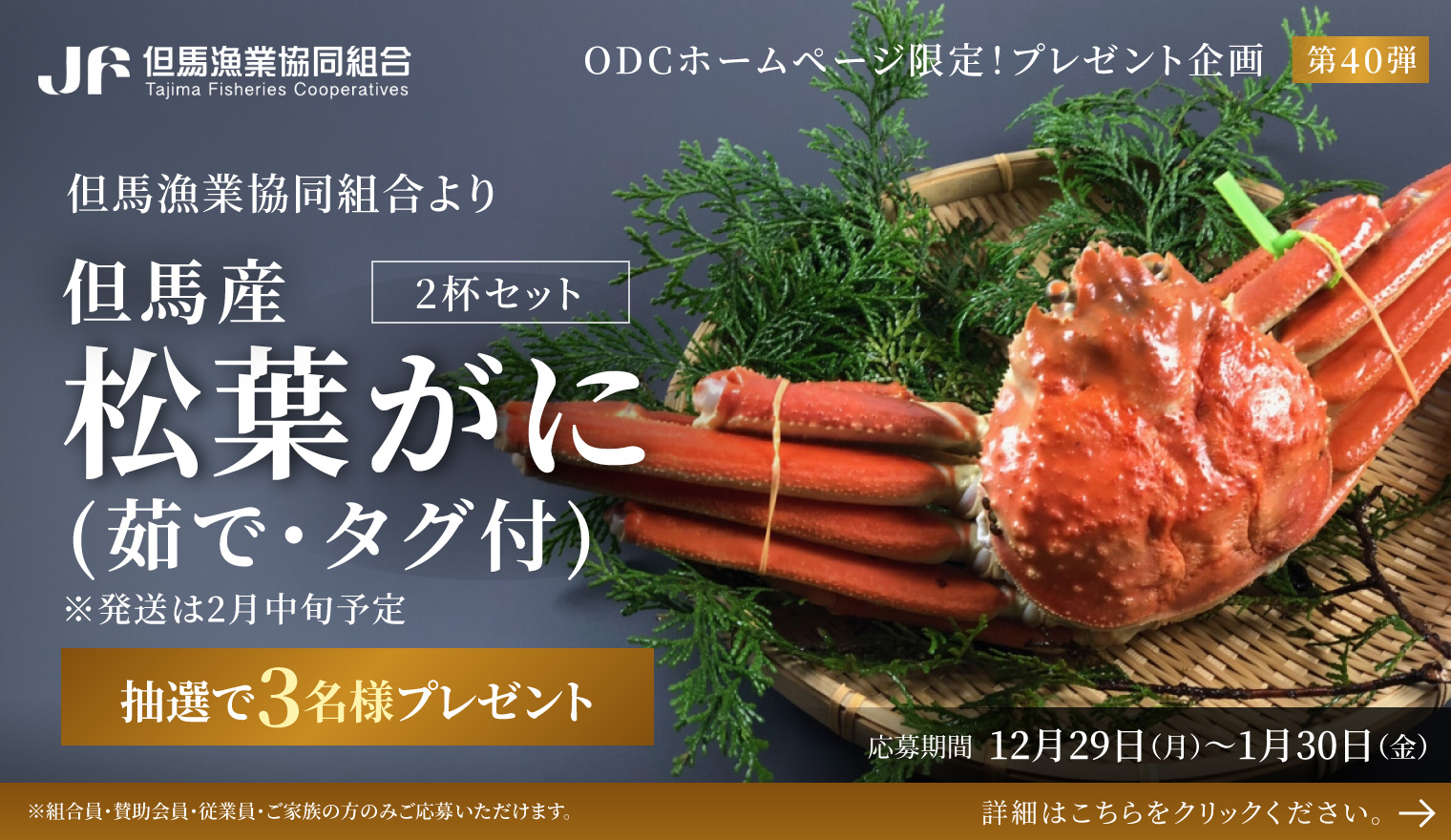 但馬産松葉がに